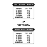 LUVA DE BOXE E MUAY THAI FIRST FX1